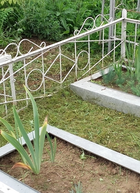 Описание изображения